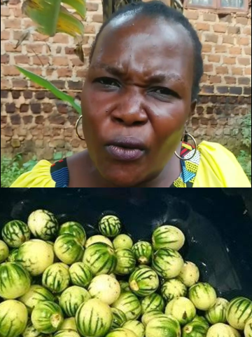 Gwe avaamu Olussu edagala lirino nalongo Kabeja alikuleetedde  avaamu lossu mu mana edagala lirino  #eddagalaelifunzaemana #okuwunya #olussu #olussumumana #okuwunya #fyyyyyyyyyyyyyyyy #nalongokabeja #edagala #eddagalaelifunzaemana #alusa #mufunzamana #mufunzamana #foryou #foryoupage❤️❤️ #fypシ゚ #fypシ゚ #ekikolo #trending #emikisa #fppppppppppppppppppppppp #fppppppppppppppppppp #enfuli #muwomya #edagala 