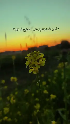 #الحمدالله_علی_کل_حال❤ #عباراتكم_الفخمه📿📌  #تصويري📸  #اكسبلورexplore #اعاده_نشر🔁 #هاشتاك 