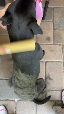 He was scared 