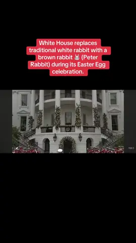 White House replaces traditional white rabbit with a brown rabbit 🐰 (Peter Rabbit) during its Easter Egg celebration. #conspiracy #conspiracytiktok #conspiracytheory #easterbunny #whitehouse #eastermonday #easteregg #donaldtrump #melaniatrump #maga #unitedstates #peterrabbit