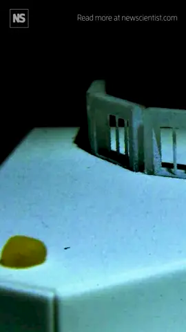 Watch this liquid robot shape shift Researchers at Seoul National University have created a liquid-particle composite called a Particle-armored liquid roBot (PB) can deform, engulf, and merge without losing its structural integrity, enabling it to perform functions that are difficult for rigid robots, according to Hyobin Jeon and colleagues. The PB is an important step toward miniature machines that behave more like cells, the researchers say, with potential biomedical applications such as tumour cell destruction and drug delivery. #softrobot #robotics #technology