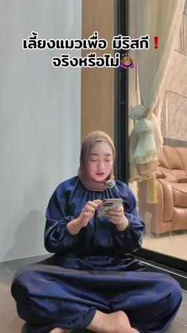 ขอคำตอบคนที่มีความรู้ หน่อยค่า เลี้ยงแมวเพื่ออะไร 🙇🏽‍♀️❗️🥰#คนนี้เขาเรียกว่าซีอีโอนอนา #ceoนอนา #อีบูปูเต๊ะมะหาดนอนา 