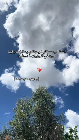 #الشعب_الصيني_ماله_حل😂😂 #🇩🇿 #🇩🇿🇲🇦🇹🇳 
