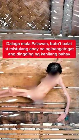Babala: Maselan ang paksa at ang video na inyong mapapanood. Dalaga mula Palawan, buto’t balat at mistulang anay na nginangatngat ang dingding ng kanilang bahay #KMJS