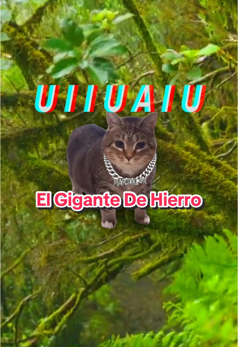 OIIA Cat x El Gigante De Hierro #oiia #cats #music #fyp  @oiiacat_ethel 