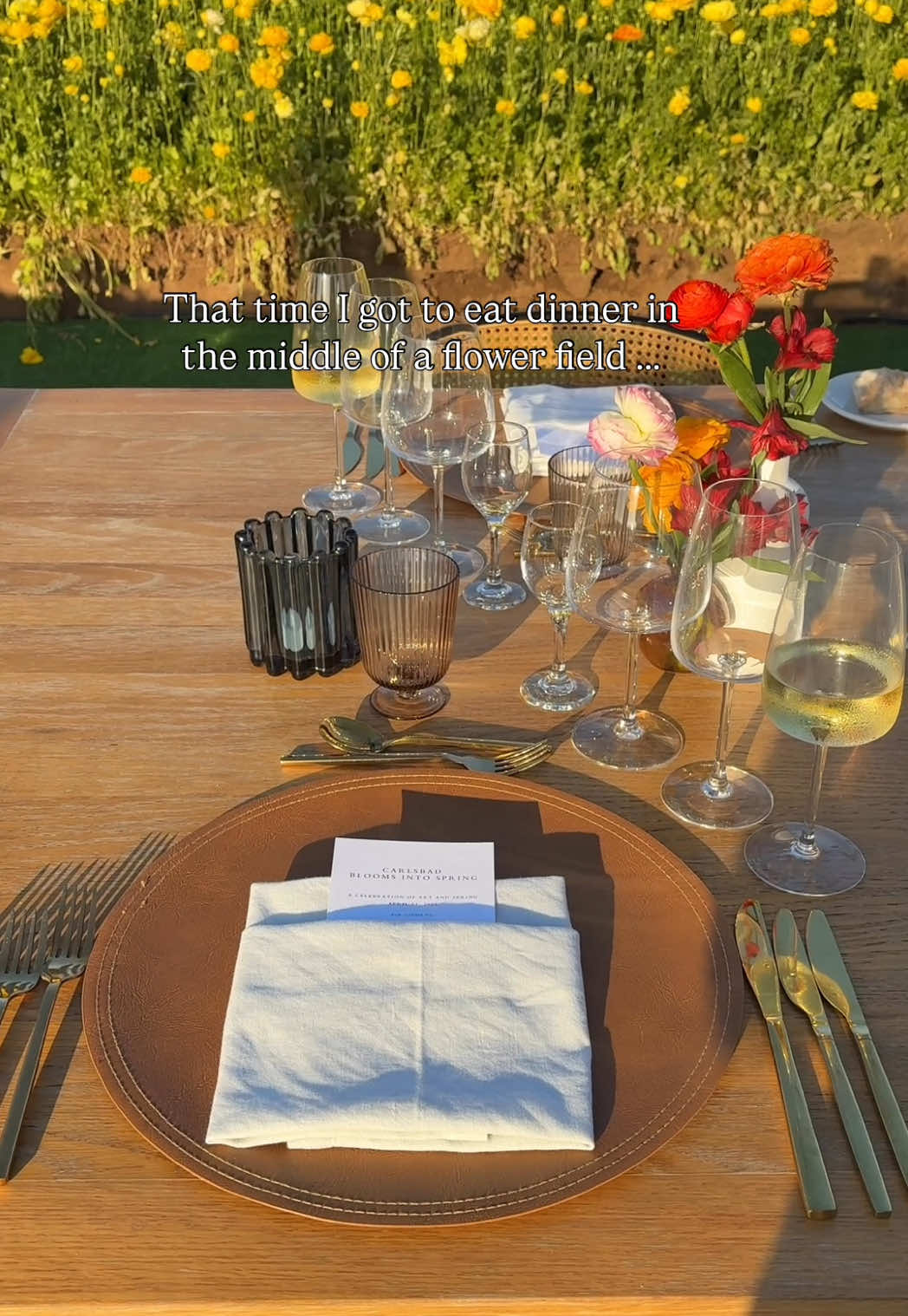 Got to eat dinner in the middle of the blooming ranunculus flowers @The Flower Fields in Carlsbad 🥹 #carlsbad #carlsbadcalifornia #theflowerfields #springflowers 