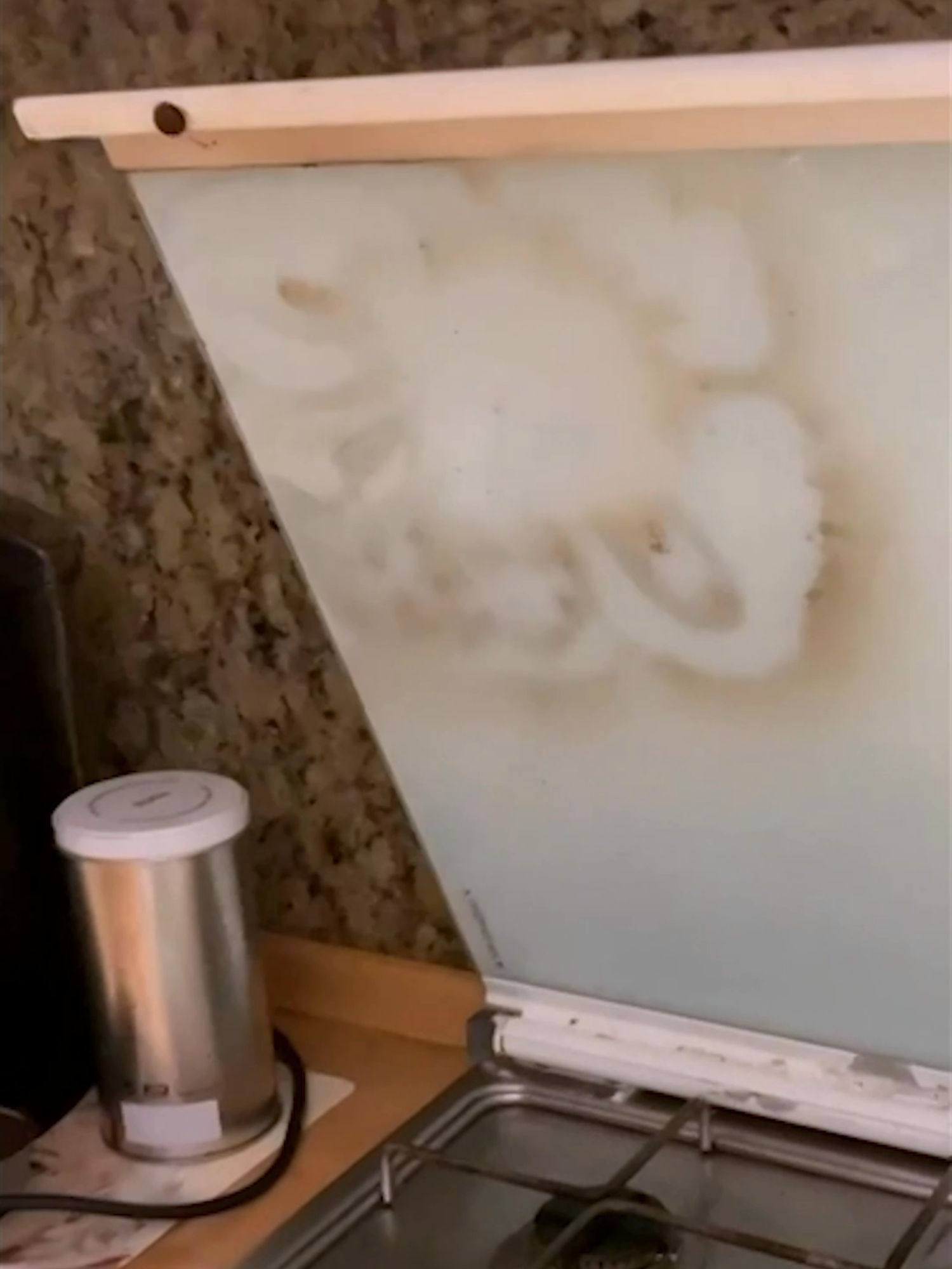 not ideal 💥 #Ridiculousness #funny #reaction #cooking #kitchen