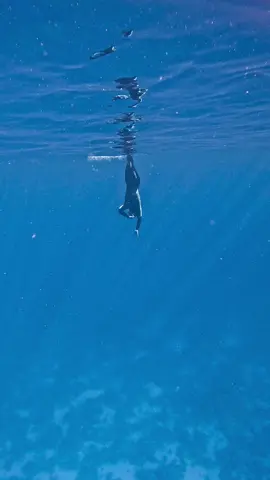 Just having some fun ✨💙 #divewithamigos  #wildadventures #reality #snorkling #hurghada #freediver #vacation #underwaterphotography 