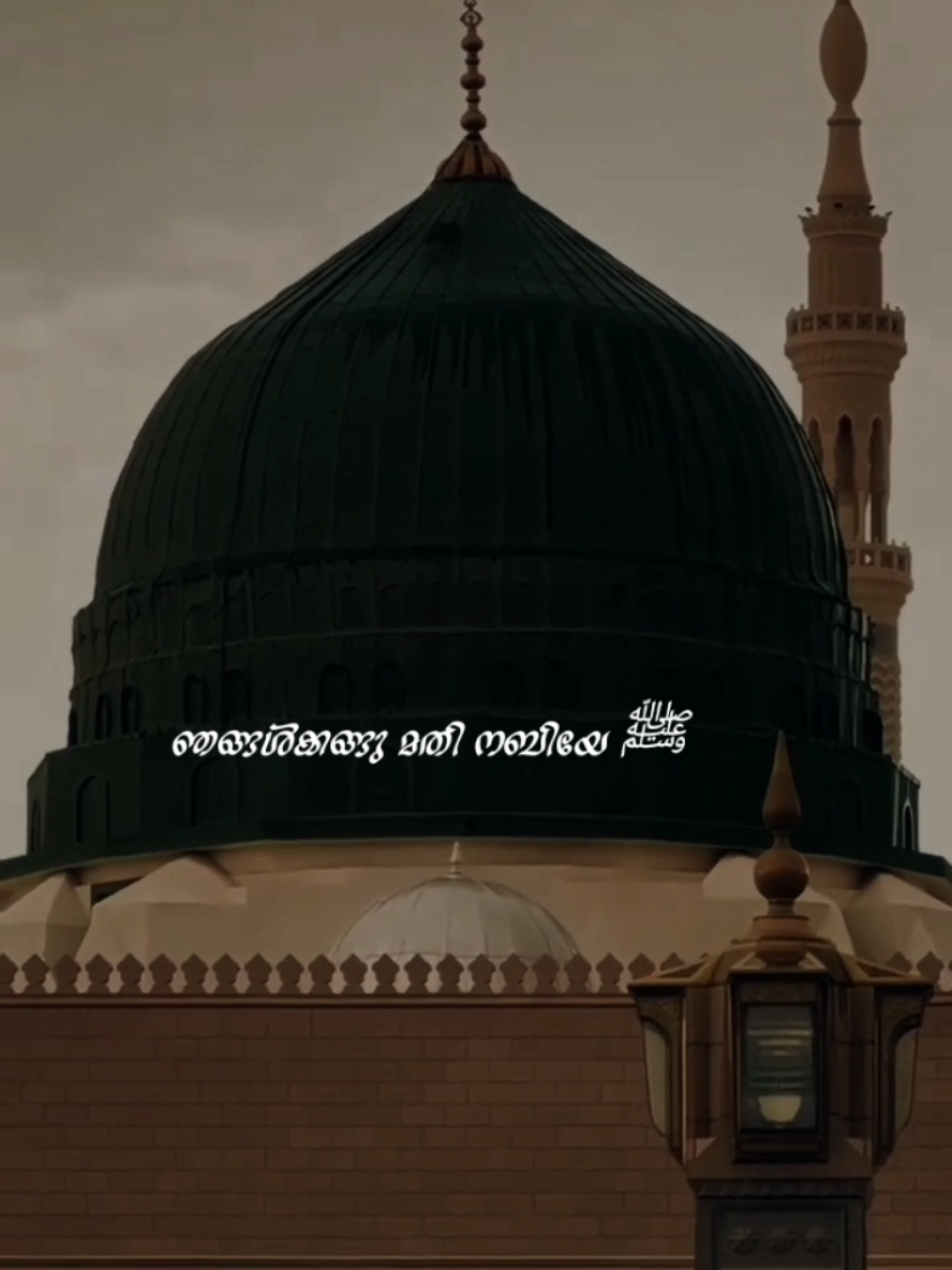 اللـــہـم صل عــــلى الــــنور وأهلــــہ.....* #islamic_video #alhamdulillah #whatsappstatus #songlyrics #hubbunabi❤❤❤ 