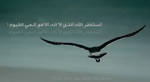 مشاري العفاسي من سورة الملك #مشاري_العفاسي #اللهم_لك_الحمد_ولك_الشكر #الحمدالله #سبحان_الله#الله_اكبر 