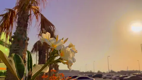 #আবু_ত্বহা_মুহাম্মদ_আদনান #fypシ゚viral #islamic_video #foryou 