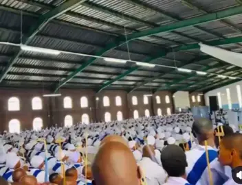 Passover2025💙🤍🪽#HappyEaster #vezinyoni💙🤍🕊 #inyoniemaphikoayisithupha 