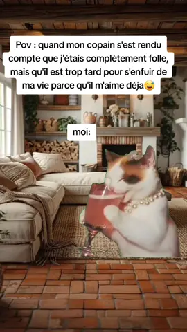 #Meme #MemeCut #CapCut 