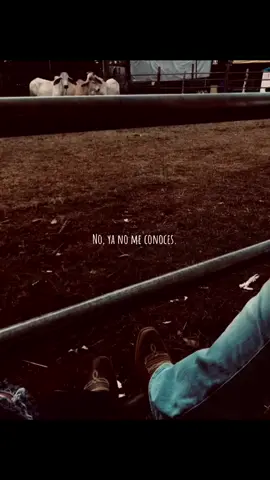 #tipicopanameño #xyzcba #fyp #tipicopanama #teacordaras #ulpianovergara #contenido 