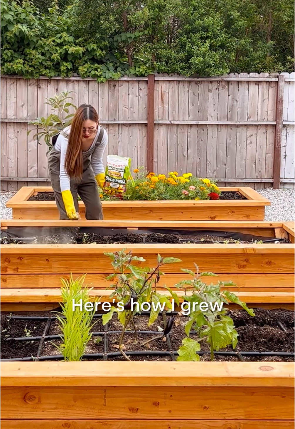 Growing potatoes in cardboard boxes 📦 is still the BEST method so far! 🤌🏼 If you’re inspired to live a more creative, faithful, and healing life this year, check out my 30-week devotional called The Abundant Life Journal. ❤️ It’s filled with cozy recipes, creative DIYs, and most importantly—guided prayers and the Word of God! 🙏🏼