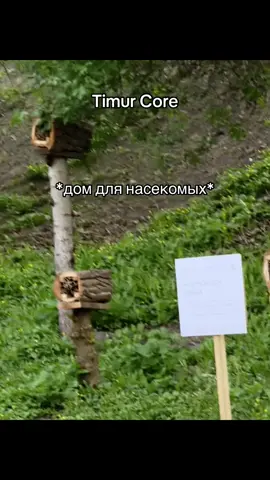 #юмор #друг 