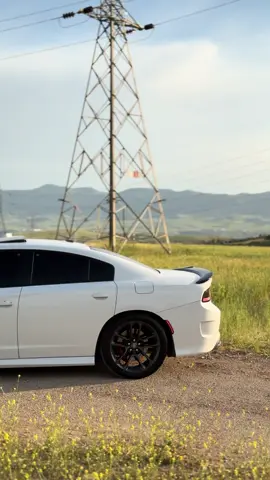 #scatpack 🐝