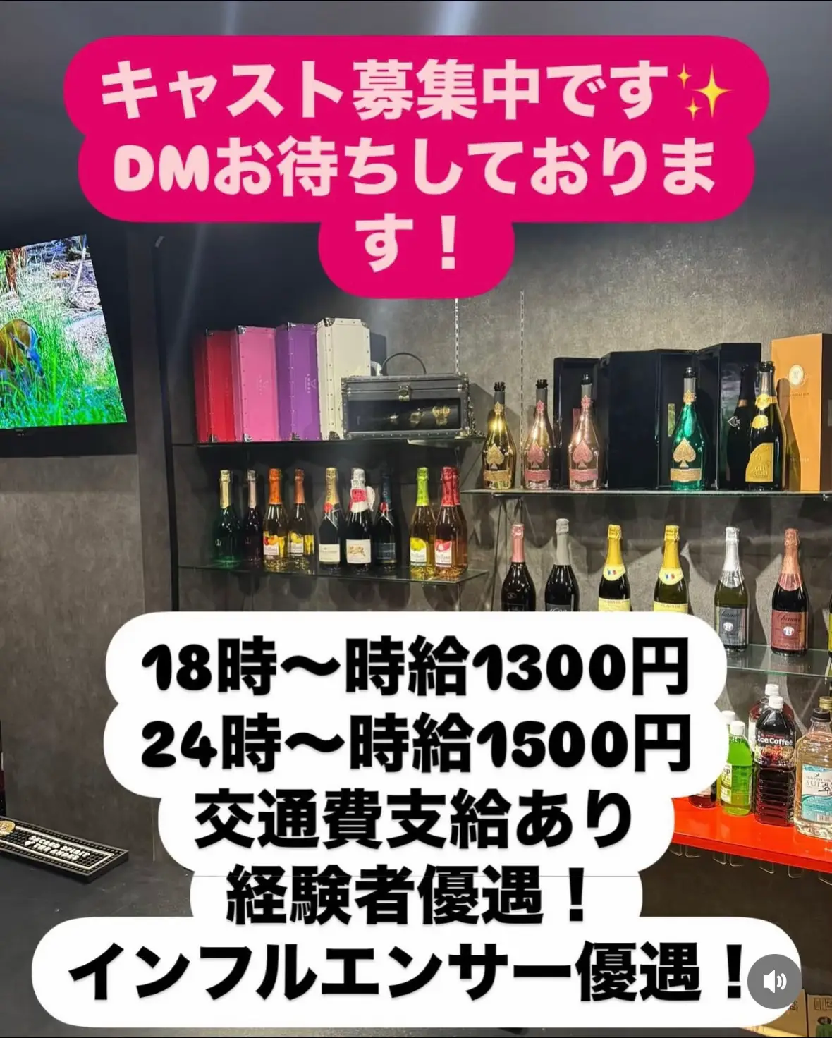 まだまだキャストさん募集してます🥰 新しいお店で働いてみたい方ぜひ！ ご質問だけでもOKです🙆‍♀️ ご連絡お待ちしてます！ #求人 #アルバイト #バイト #コンカフェ #コンセプトカフェ #大阪コンカフェ #大阪日本橋 #大阪 #難波 #ミナミ #宗右衛門町 #新規オープン #近日オープン