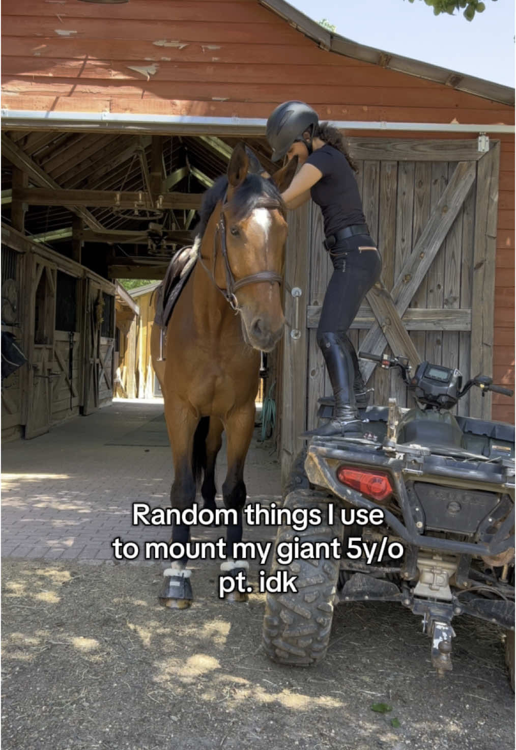 honestly this is a 10/10  #fyp #fyppppppppppppppppppppppp #viraltiktok #viral #viralvideo #giant4yearold #horsegirl #horse #horsesoftiktok #tiktok #equestrian #horsetok #equestriansoftiktok #horselife #viraltiktok #horseriding 