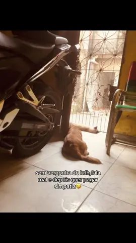 Conteúdooo! 