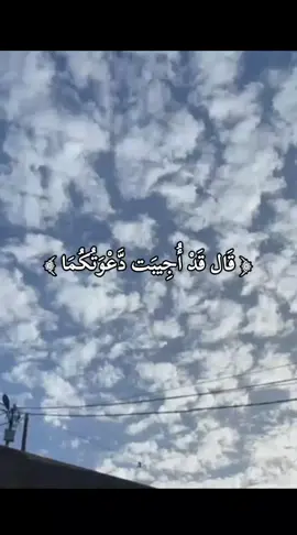 🤍#اكسبلورexplore #الشعب_الصيني_ماله_حل😂😂 #ตามจังหวะ #foryou #slowsuave #fypシ #CapCut 