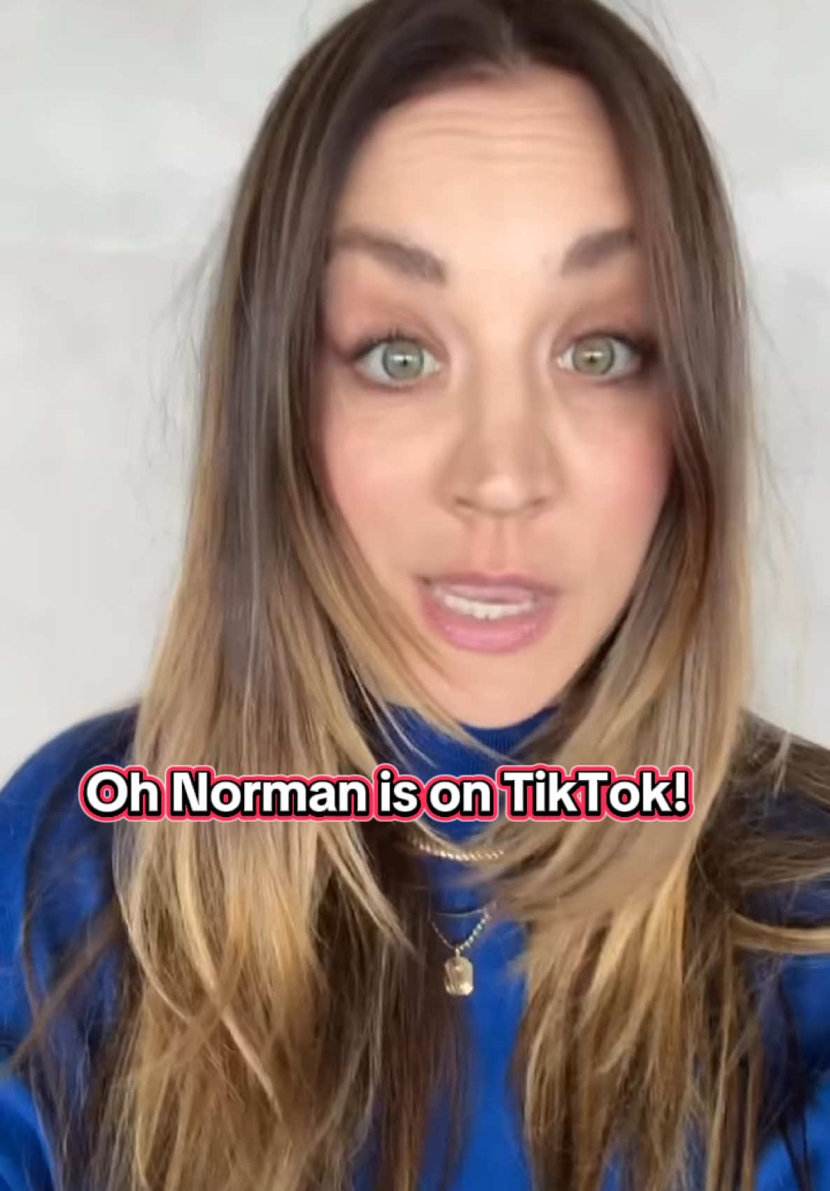 Hey TikTok!! 👋 Wanna see what I’m building? @Oh Norman ♥️