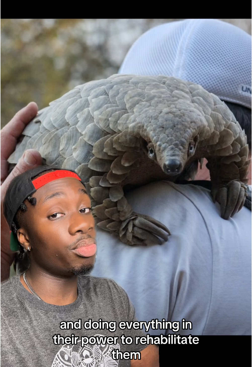 These prehistoric pine cones need protecting. Check out @Netflix’s Pangolin: Kulu’s Journey to see how people are helping save the most trafficked animal on earth #netflixpartner#pangolin#nature#earthday  