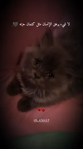 لا شيء يرهق الإنسان مثل كتمان حزنه 🍃❤️‍🩹  #الحمدلله_دائماً_وابداً 