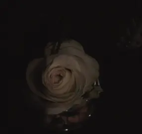 وعرفتُ أنك غايتي ومرادي 🖤🎙️! #fyp #CapCut #viral  #شعر #شعروقصايد #قصايد_شعر_خواطر #شعراء_وذواقين_الشعر_الشعبي #اقتباسات #رومانسي #خواطر #تصميمي #تصميم_فيديوهات🎶🎤🎬 #ستوريات #عرب #مصر #الشعب_الصيني_ماله_حل😂😂 