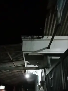 02.19#liriklagu #lyrics #lirik #overlaylyrics #jawa #jawapride #lagujawa #liriklagujawa #fyp #viral #trending 