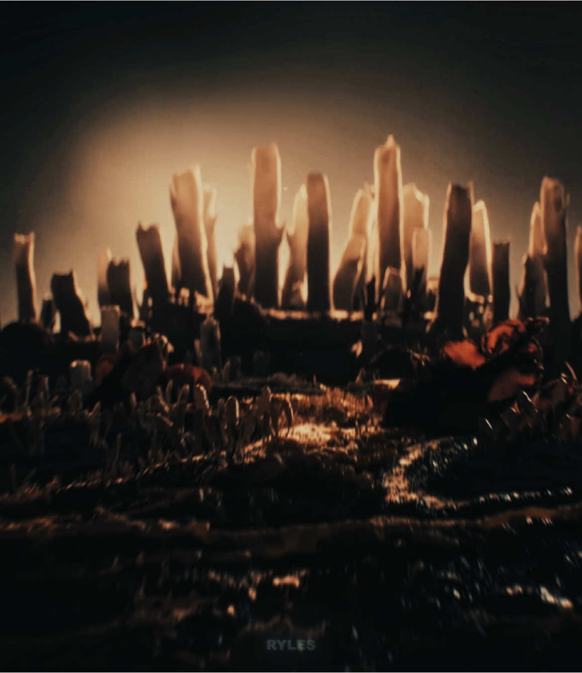 They cooked so hard with the intro // scp: @Juan frfr #thelastofus #thelasofusedit #edit #velocity #aftereffects #strikehardsoc 