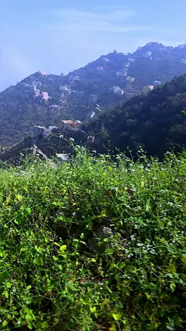 #فيفاء أرض الجمال والطبيعة الساحرة✨️ 