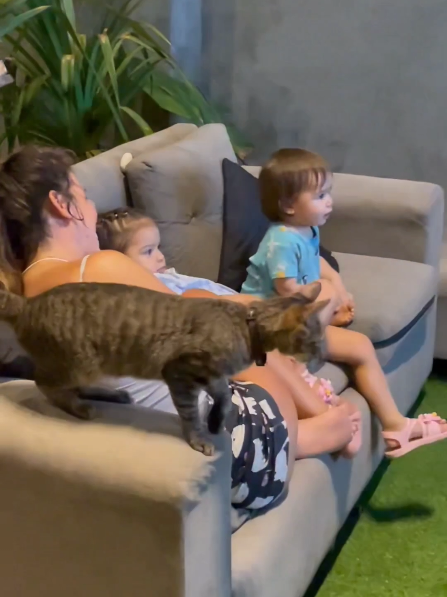I think the kitten has ataxia poor kitten.♥️🤣😻 #kittensoftiktok #viralvideo #viralcat #paratiiii #cutenessoverloaded #kittenlove #kittenlove #fypage #catsoftiktok #paratii #vira #catsvideos 