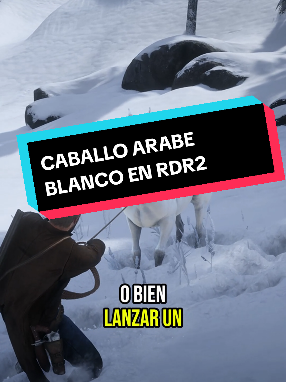 UBICACIÓN DEL CABALLO ARABE BLANCO EN RED DEAD REDEMPTION 2 #rdr2clips #redeeadredeption2 #reddeadredemption #reddeadredemption2 #rdr2 