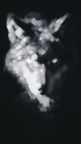 اياك وان تلعب معي  #عبارات  #خواطر  #اقتباسات  #ستوريات 