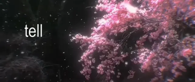 Show Me How - Men I Trust || #showmehow #menitrust #tellmewhy #yourhands #arecold #typography #cherryblossom #flowers #bratfont #showmehowmenitrust #softmusic #aestheticvideos 