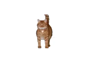 @Гений #wiwiwi #рек #хочуврек #fyp 