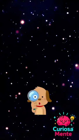 ✨ Oie pessoal! Você sabia que existem mais estrelas no universo do que grãos de areia na Terra? 🤯 Parece impossível, né? Mas a ciência garante! E aí, o que você acha mais infinito: as estrelas ou a areia? 🌌🏖️ Comenta aí! 💬👇 #CuriosaMente #Curiosidades #VocêSabia #EstrelasNoUniverso #GrãosDeAreia #FatosInteressantes #CulturaGeral #AprendizadoDivertido #ParaVocê #FYP #Viral#CuriosaMente #Curiosidades #VocêSabia #EstrelasNoUniverso #GrãosDeAreia #FatosInteressantes #CulturaGeral #AprendizadoDivertido #ParaVocê #FYP #Viral #Curiosidades #CuriosaMente #FatosInteressantes #CulturaGeral #AprendizadoDivertido #Curiosidades  #VocêSabia  #FatosCuriosos  #CuriosidadesDoMundo  #SabiaDisso  #CuriosidadesHistóricas  #CiênciaCuriosa  #MundoCurioso  #CuriosidadesInteressantes  #DescubraMais  #CuriosidadesCulturais  #NaturezaCuriosa  #TikTokEducativo  #AprendizadoDivertido  #CuriosidadesIncríveis 