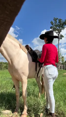 Look muito 🐝né ?🤣 o que temos pra hoje 
