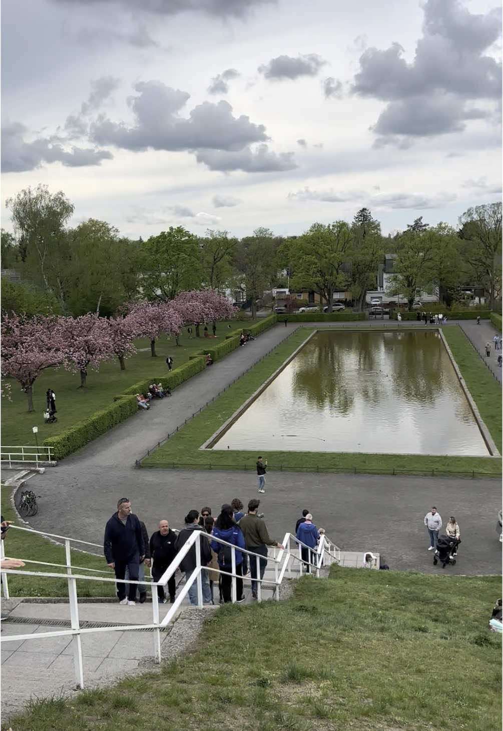 Kirschblüte im #Lilienthalpark Berlin🌸☀️🌿 #kirschblüten #kirschblüte #sakura #welovesteglitz #hanami #steglitz #berlinblossom #steglitzzehlendorf  #berlin #сакура #berlin🇩🇪  #visit_berlin #berlinlove 