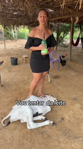 Vou tentar da leite pra ela #RegistroDevida #tiktokviral 