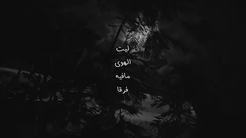 #اكسلبور؟ #سلطان_البريكي #foryou 