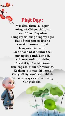 #nammoadidaphat🙏🙏🙏 #nammoadidaphat #nammoadidaphat🙏🍀🌹 #loihayydep #phatphapnhiemmau 