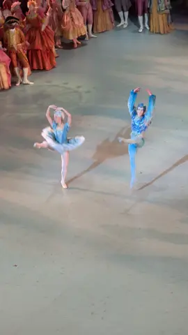 Sleeping beauty par Rudolf Noureev #ballerina #Noureev #opera #dancer #ballet