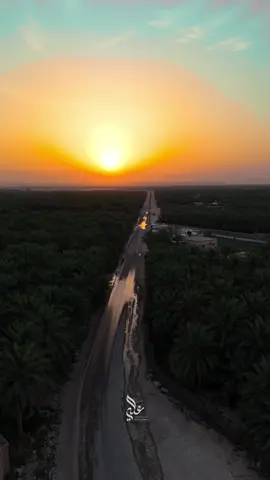 وكيف لي ان ابعد عيناي عن جمال طبيعة الأحساء ! #الاحساء #المبرز #الهفوف #مزارع #مزرعة #نخل #الشرقية #السعودية #saudiarabia #goldentime #ksa #علي_الهاشم 