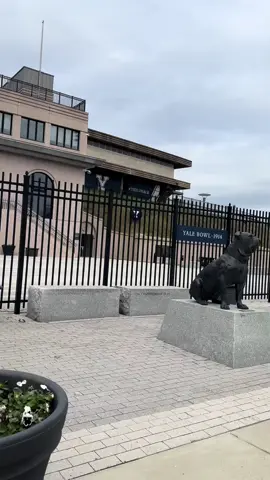 Northeast scenic run #yalebowlstadium #eastcoast #halfmarathontraining #Running #longdistance 