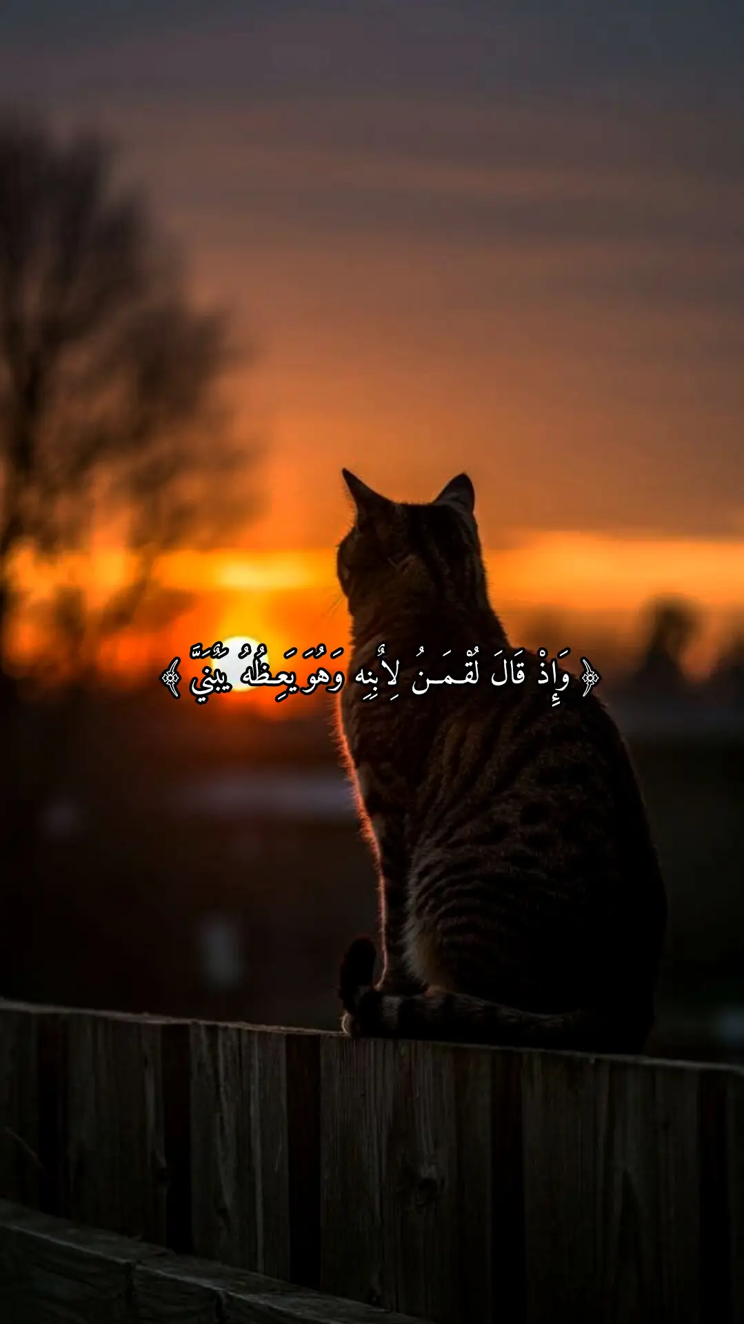 ارح سمعك و قلبك 🎧🤍 #ارح_سمعك #ارح_سمعك_بالقران #راحه_وطمأنينه_للقلب #قران #القارئ_عبدالله_احمد_شعبان #fypシ゚ #quran_alkarim #qu_ran_n #🤍🎧 