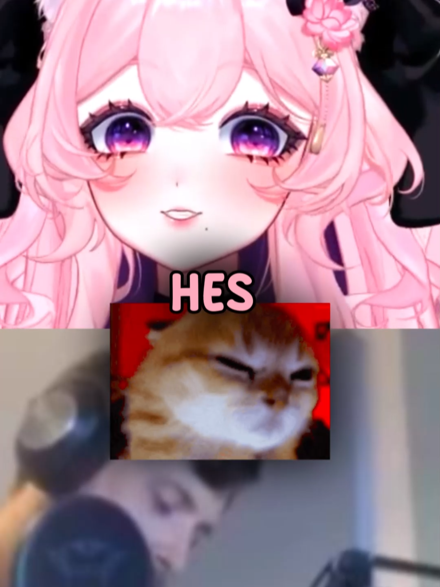 WHAT DOES FORSEN EVEN DO 😭😭#vtuber #vtuberclips #vtubermemes #twitchstreamer #englishvtuber #twitch #brainrot #forsen #ylyl  edit/cm: @bnnnyx3