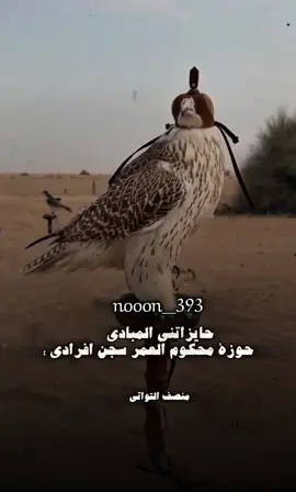 #منصف_التواتي #شعراء_وذواقين_الشعر_الشعبي🎸  #شعراء #برقه #الشاعر_منصف_التواتي 