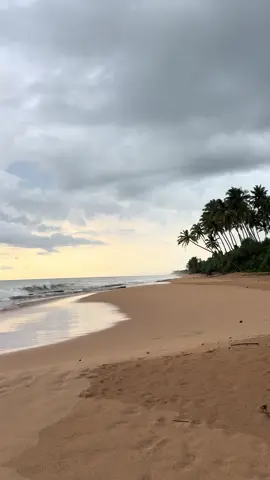 Evening walks in the rain on the beach  #srilanka #travel #traveltiktok #content #contentcreator #foryou #fyp #foryoupage #srilankatiktok #sea #beach 
